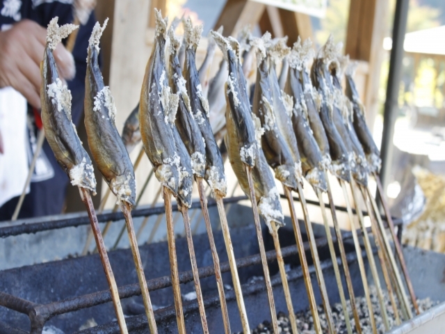 岐阜県の風景：鮎の塩焼き